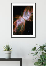 Poster The Hubble Telescope - Rosette of gases & dust Poster 3