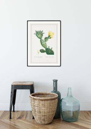 Poster Cactus Opunta Poster 2