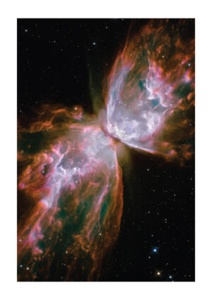 Poster The Hubble Telescope - Rosette of gases & dust Poster 1