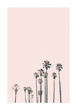 Poster Hollywood palm trees Poster 1