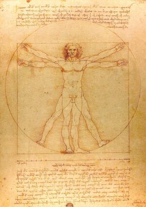 Poster Vitruvian Man - Leonardo da Vinci Educational Poster Poster 1