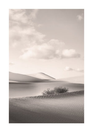Poster Black and white sand dunes Poster 1