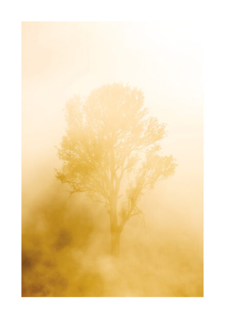 Poster Yellow hazy landscape Poster 1