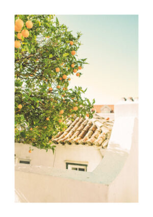 Poster Oranges in a Mediterranean village Poster 1