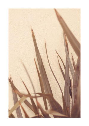 Poster Grass against wall Poster 1