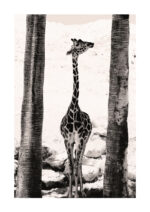 Poster Giraffe in full figure Poster 1