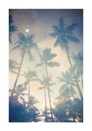 Poster Palm trees Poster 1