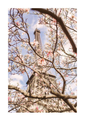 Poster Eiffel Tower and cherry blossoms Poster 1