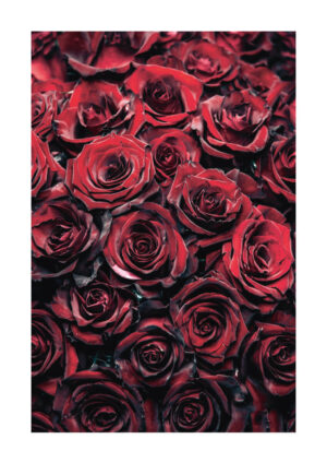 - Magic Artist Design PosterRed roses - Magic Artist Design Poster 1