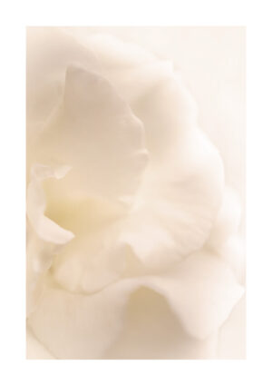 Poster Abstract white Poster 1
