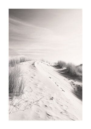 Poster Black and white sand dunes Poster 1