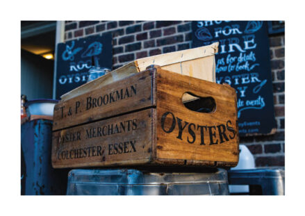 Poster Oyster box Poster 1