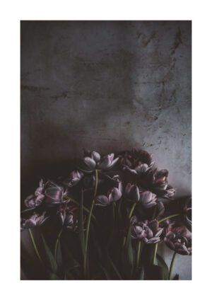 Poster Black tulips Poster 1