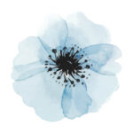 Poster Blue flower watercolor Poster 3